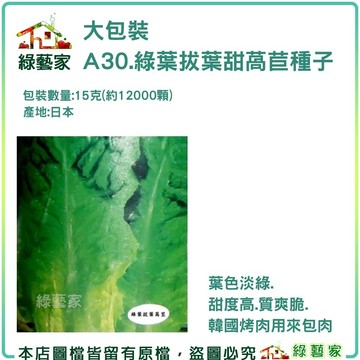 【綠藝家】大包裝A30綠葉拔葉甜萵苣種子15克(韓國烤肉萵苣 日本進口拔葉A菜，韓國烤肉使用包肉生菜)