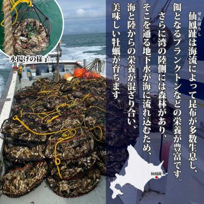 ふるさと納税 釧路町 殻付き牡蠣 仙極かき 35個 生食用(かきナイフ付) 冷蔵 北海道釧路町