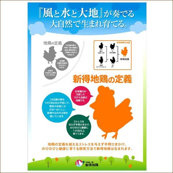 お歳暮 肉の山本 北海道産 新得地鶏 鍋セット(2〜3人前) 国産 とり肉 トリ肉 鶏肉 地鶏 ギフト 贈り物 お礼 お返し のし 北海道 グルメ 送料無料 お取り寄せ