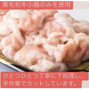 ふるさと納税 博多の名物!!創業1987年老舗和牛もつ鍋　醤油味　6、7人前 福岡県福岡市