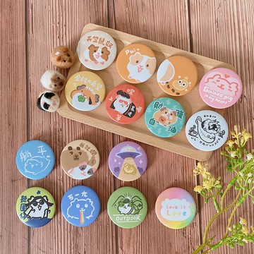 磁鐵 天竺鼠 倉鼠 兔子 水豚