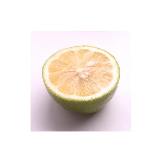 ふるさと納税 和歌山県 広川町 家庭用 黒潮レモン2kg 60g（傷み補償分）…