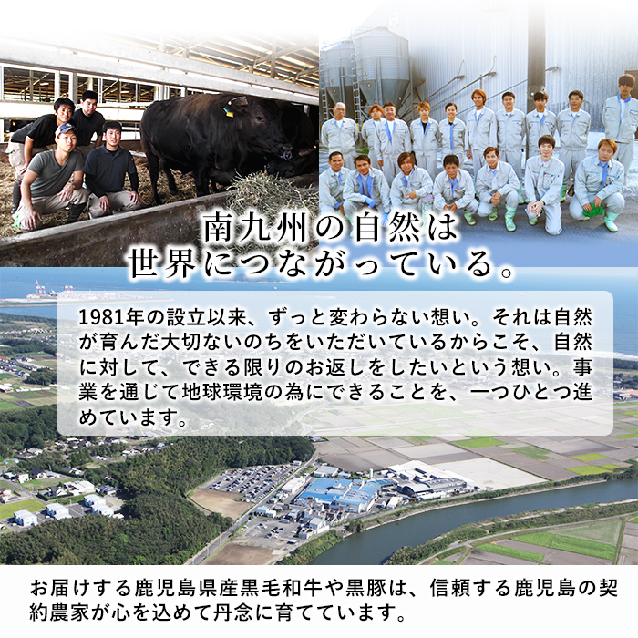 鹿児島県産！黒毛和牛サーロインステーキA4等級以上(200g×2枚・計400g) a9-001