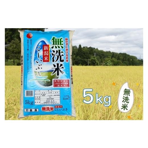 ふるさと納税 新潟県 見附市 令和5年産  無洗米 新潟県産 こしいぶき 5kg