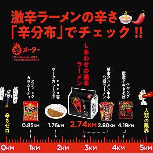 ハウス しあわせの激辛 ラーメン 5個パック 480g×6個