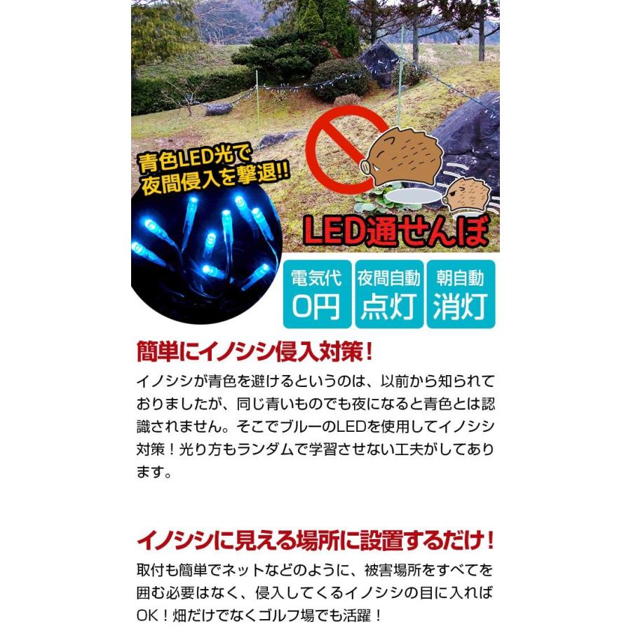 魔法の光 LED通せんぼBIG　  送料無料  ポイント7倍 いのしし 猪 猪よけ イノシシ 対策 害獣 撃退 LED 青色 イノシシを青色LEDの光で威嚇 ソーラー発…