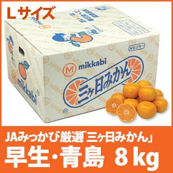 静岡県産みかん 「三ヶ日みかん 早生 青島」 Lサイズ8kg 光センサー選別品