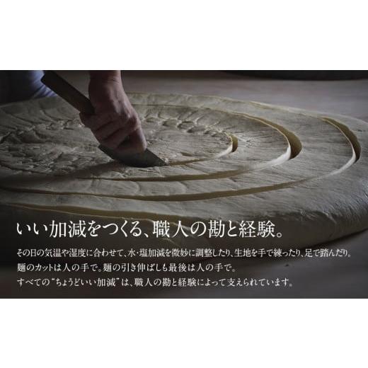 ふるさと納税 富山県 氷見市 氷見うどん海津屋〈細麺・餅めん〉2種セット 富山県 氷見市 麺類 うどん 乾麺 セット 氷見うどん