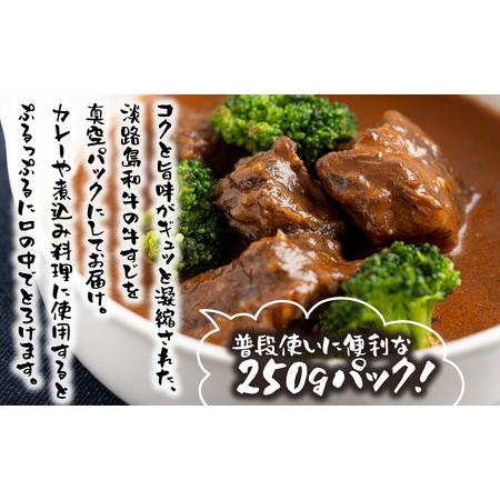 ふるさと納税 淡路島和牛 すじ肉 1ｋｇ 約250ｇ×4パック 兵庫県淡路市