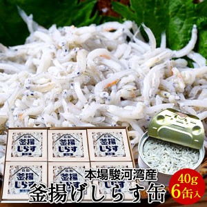 しらす 駿河湾産 釜揚げしらす缶詰め[40g×6缶] いわし稚魚 静岡県由比港 田子の浦 産地直送【送料無料