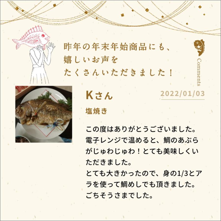 ＜送料無料＞正月用祝い鯛　１kg〜1.2kg　塩焼も◎刺身用