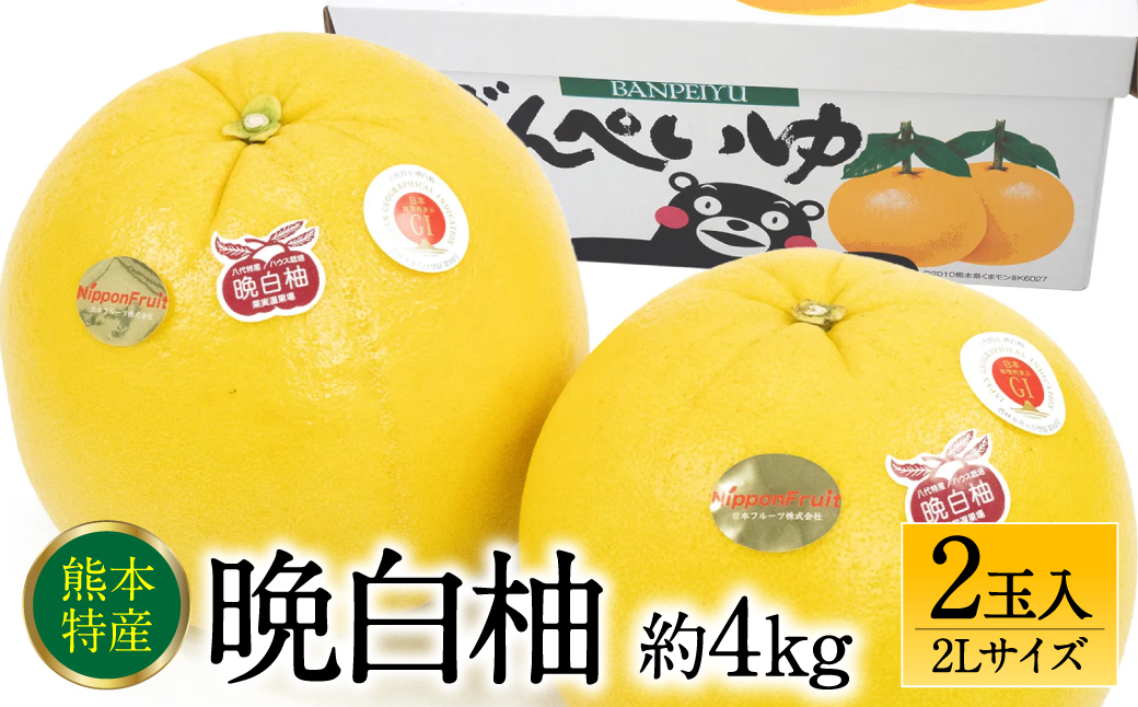 晩白柚 2Lサイズ 4kg（約2kg×2玉)
