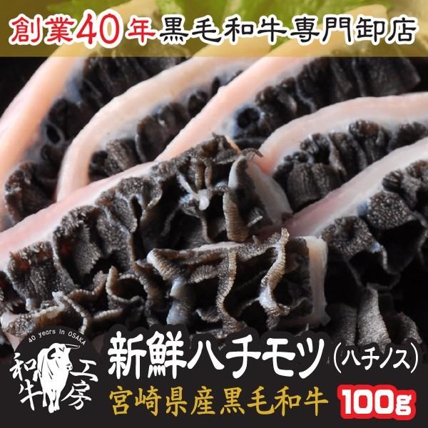 ハチノス 肉 ホルモン A5　宮崎県産 黒毛和牛 ハチモツ ハチノス 100ｇ 