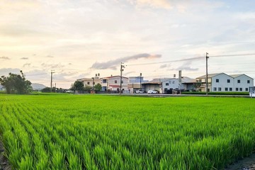 決心賣！正土城路91米大面寬農地★出價就談！｜台中市外埔區風坑段