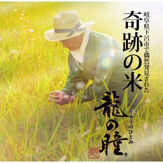 御歳暮 新米 龍の瞳 2kg 岐阜県飛騨産 いのちの壱 令和5年産 お米 ギフト プレゼント 内祝 御礼  のし名入れ無料 送料無料（一部地域加算送料）