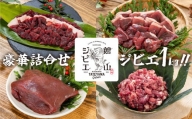 館山ジビエ たっぷりお肉1kgセット