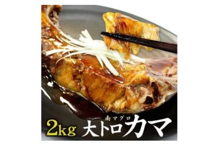 南マグロ大トロカマ2kg　加熱用　塩焼きや煮付けに