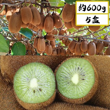 愛蜜果 台灣梨山綠色奇異果 (6顆/約600克/盒) X5盒