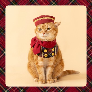 【聖誕禮物】 | 皇室風格聖誕穿搭-酒紅領搭蘇格蘭綠