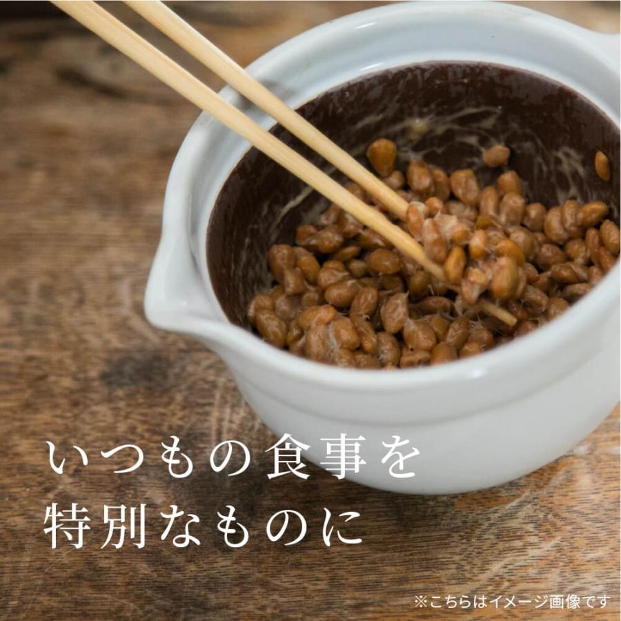 わらむ 笑つと納豆手作りキット 2本入 黄大豆 発酵食品 日本製 長野県産 お手軽 簡単 大豆