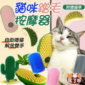 貓咪蹭毛器 仙人掌款 貓抓癢神氣 撸貓玩具 貓咪牆角蹭毛器 貓咪抓癢器 蹭毛刷 牆角梳 寵物梳