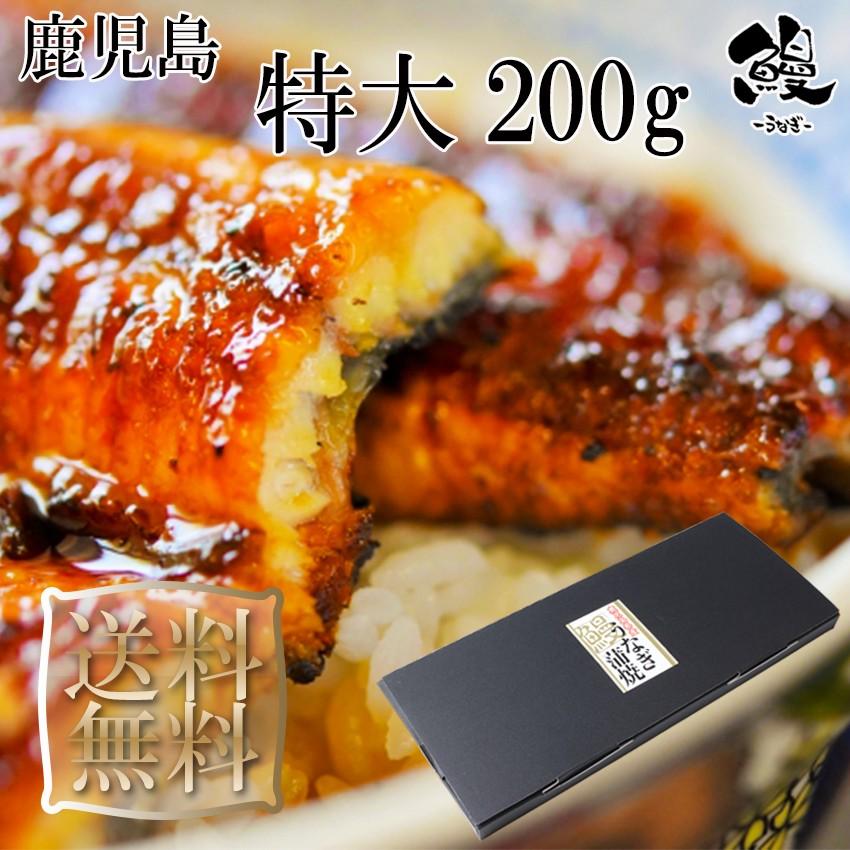 うなぎ蒲焼 特大 200g 1本 御歳暮 プレゼント 送料無料 鹿児島産 鰻