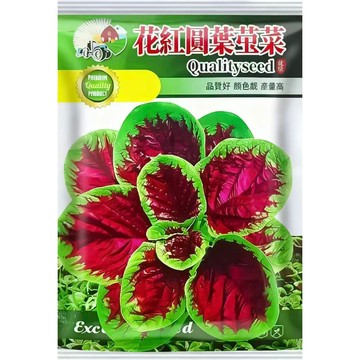 【原裝台灣紅莧菜種子】 紅圓葉莧菜 家常葉菜 四季可播 易種植 耐熱強 快速收成 自栽蔬菜 盆栽菜園 有機栽種 新手友善