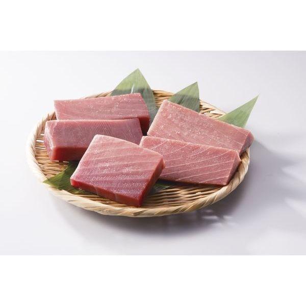 天然 南まぐろ 不定形柵500ｇ 送料無料