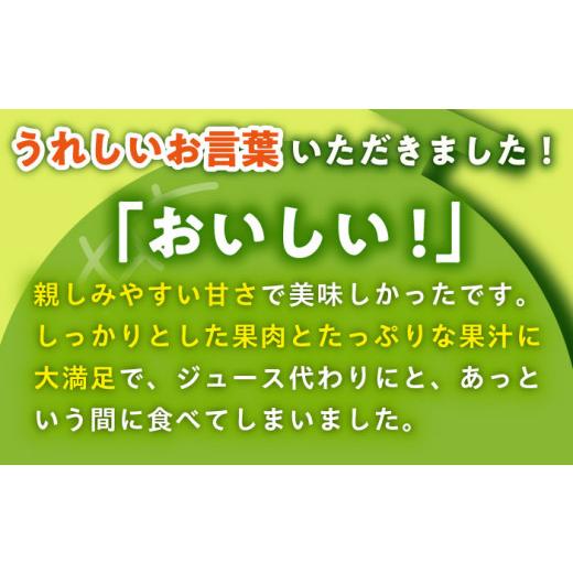 ふるさと納税 長崎県 小値賀町 ＜先行予約＞  タカミメロン  約5kg（3〜5玉） フルーツ 果物 国産 小値賀町／な…