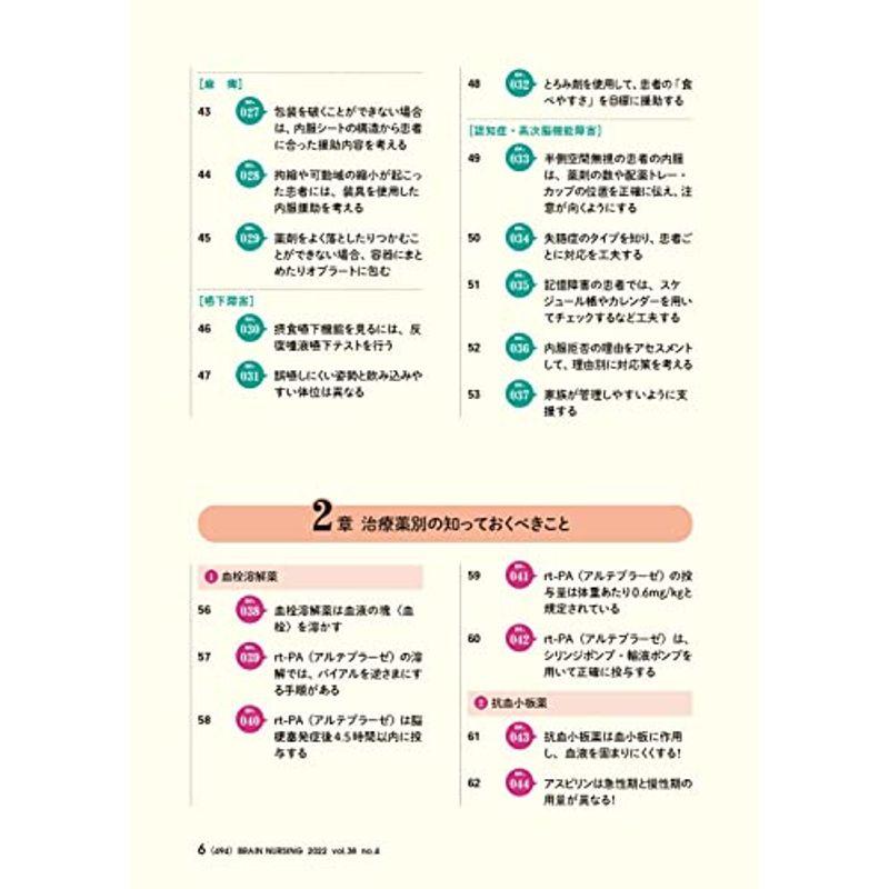 ブレインナーシング 2022年4号(第38巻4号)特集:脳神経ナースが薬剤投与・服薬管理で知っておくべき100のこと