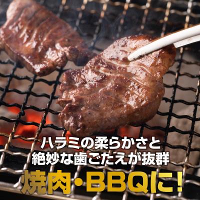 ふるさと納税 泉佐野市 冷蔵配送 牛ハラミ タレ漬焼肉 1.5kg(300g×5)015B241