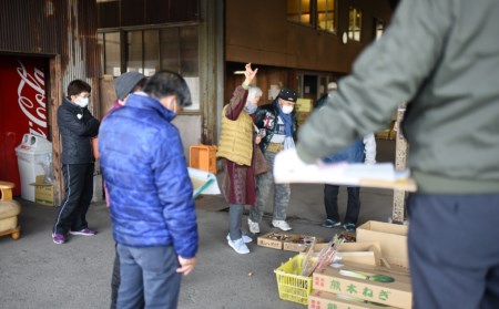 有田食品の土佐文旦10kg贈答用