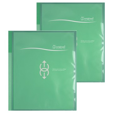 DaTaBanK 三田文具 A4 大4孔 可換封面資料夾 32*28*5cm 聚丙烯(P.P) 鐵製  綠色  2本