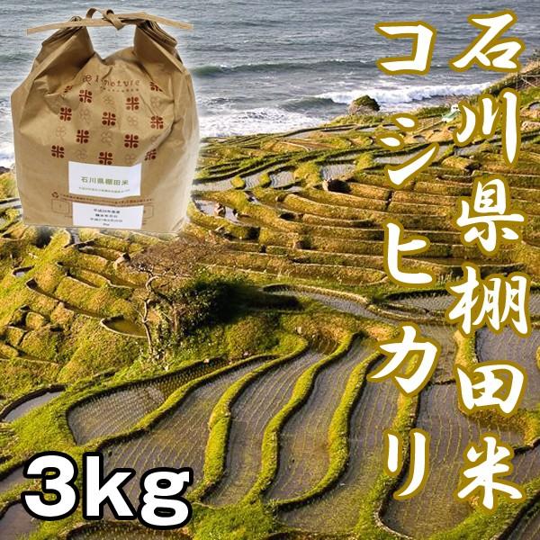 石川棚田米コシヒカリ3kg (お米,こしひかり,新米,お取り寄せブランド米,石川県能登半島,世界農業遺産認定米,受注後精米)