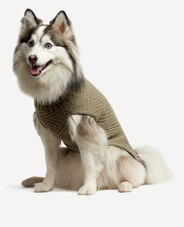 Kenneth Cole | Cable Knit Dog Sweater in Tan, Size: XS
