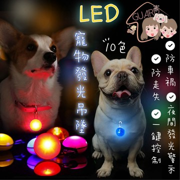 GUARD吉 多色挑選🥰  LED發光吊墜 發光狗狗吊墜 發光項圈 寵物項圈 發光狗牌 寵物吊飾 狗狗吊飾 犬貓通用