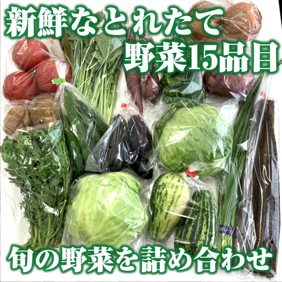 かすみがうら市産　季節の野菜セット15種　計約5kg