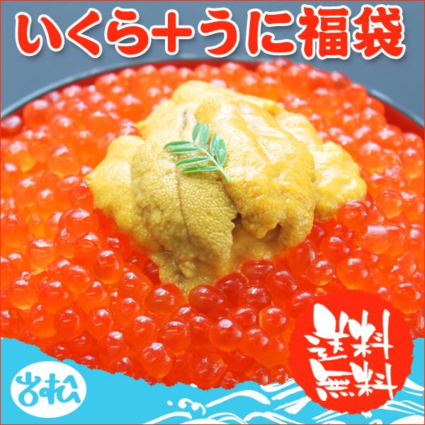 いくら 醤油漬け アラスカ 200g うに 100g 送料無料 福袋 ギフト お取り寄せグルメ