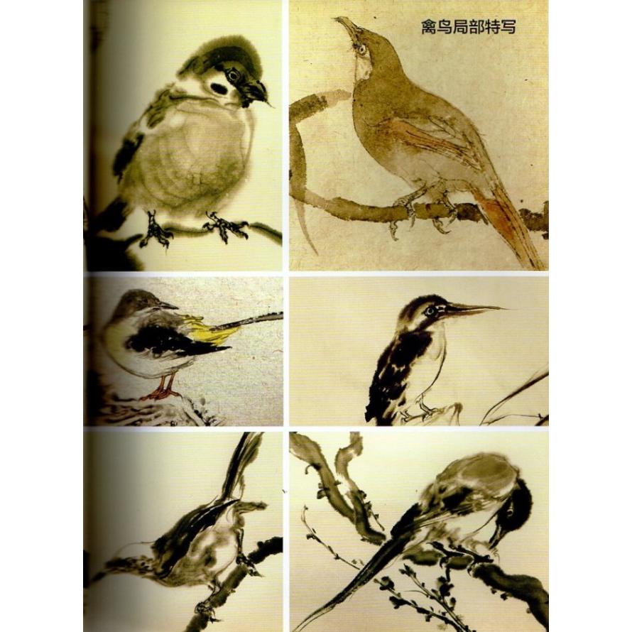 範治斌画鳥賞析　唯美技法図典　中国画技法書　中国絵画 范治斌画#40479;#36175;析　唯美技法#22270;典