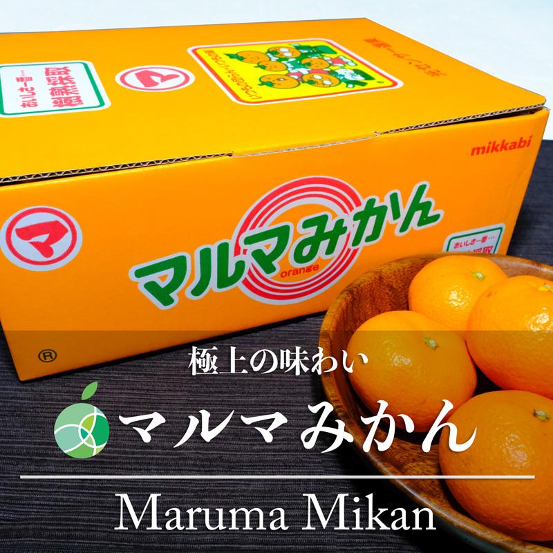 マルマみかん　みかん　赤秀　S　3kg　静岡県・三ヶ日産　お歳暮　御歳暮　フルーツ　ギフト