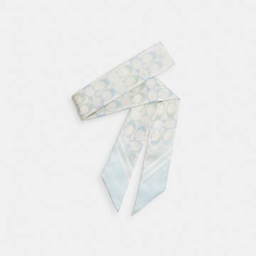 經典 SIGNATURE 桑蠶絲細圍巾