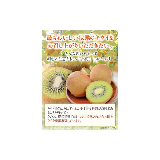 ふるさと納税 和歌山県 紀の川市 キウイ 約3.5kg 岸武青果株式会社《2024年1月中旬-4月中旬頃より順次出荷》 和歌山県 紀の川市 キウイ キウイフルーツ