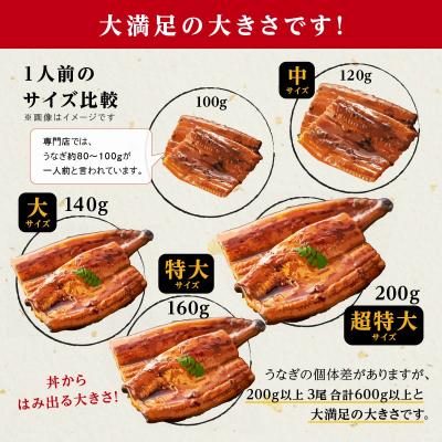 ふるさと納税 大崎町 鹿児島県産長蒲焼特大3尾(200g以上×3尾)