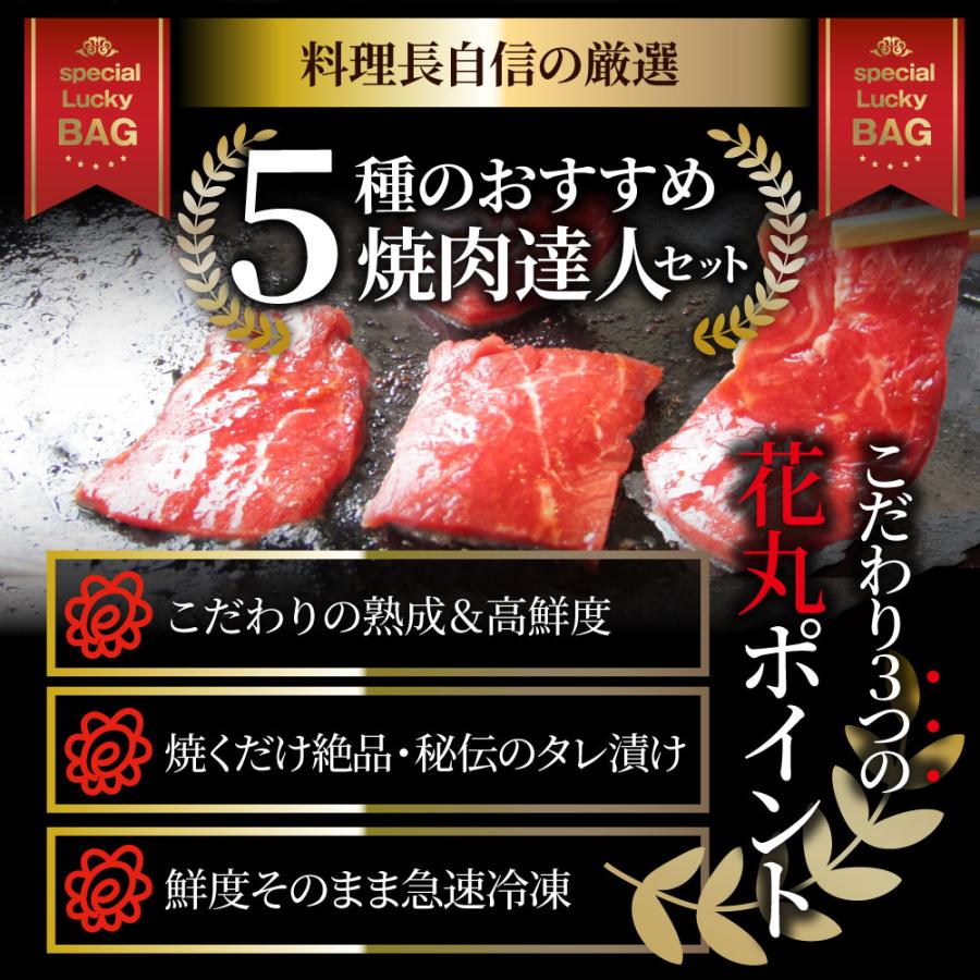 焼肉 セット 牛肉 肉 達人セット 5種盛り 食べ比べ5人前 カルビ ホルモン 福袋 お歳暮 ギフト 食品 プレゼント 女性 男性 お祝い 新生活