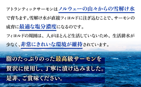 とろとろサーモン地獄漬100g×3個