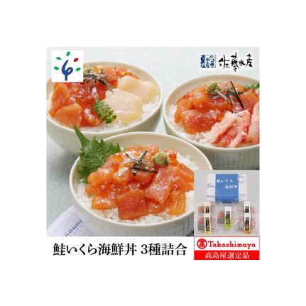 ふるさと納税 180008 鮭いくら海鮮丼 3種詰合 (5食入) 18-028 北海道石狩市