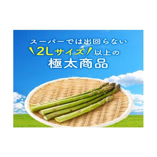 ふるさと納税 青森県 鰺ヶ沢町 岩木山高原の極太アスパラガス！約1kg（2L以上）青森県鰺ヶ沢町産