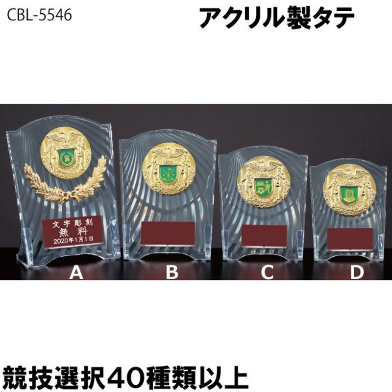 CBL5546B タテ トロフィー 優勝カップ 卒団 卒業 記念品 野球 サッカー ゴルフ 記念品 表彰 企業 社員 通販  LINEポイント最大0.5%GET | LINEショッピング