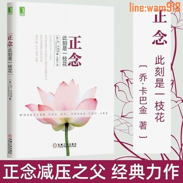 【店長推薦】念 此刻是一枝花 喬卡巴金 修身養性正能量積極心理學自我調節