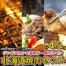 3種の北海道焼肉セット(ジンギスカン・道産味付豚ホルモン・北海道産牛にんにく味噌ホルモン)4.5kg